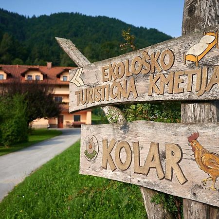 Tourist Farm Kolar Villa Ljubno Екстериор снимка