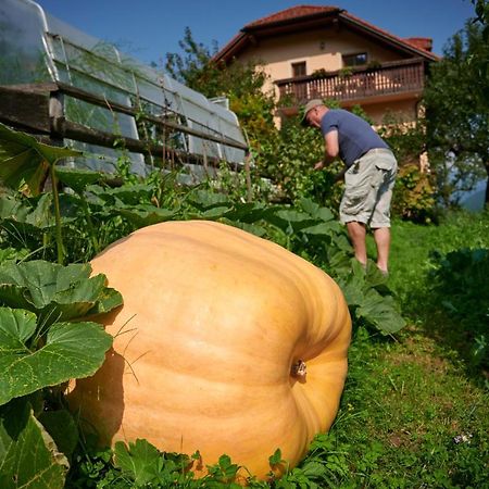 Tourist Farm Kolar Villa Ljubno Екстериор снимка