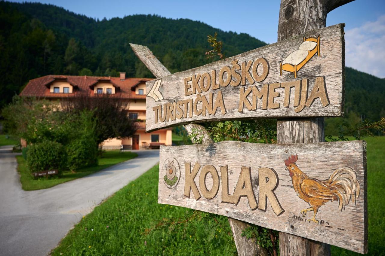 Tourist Farm Kolar Villa Ljubno Екстериор снимка