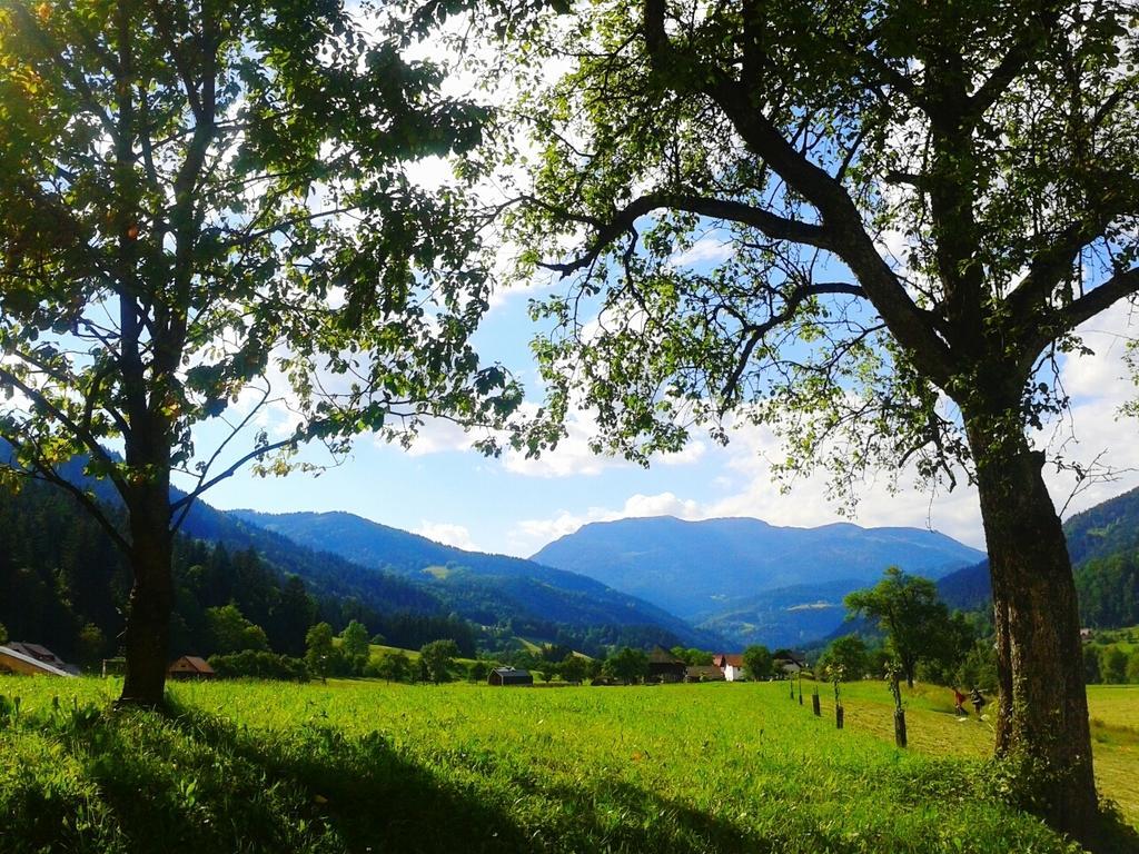 Tourist Farm Kolar Villa Ljubno Екстериор снимка