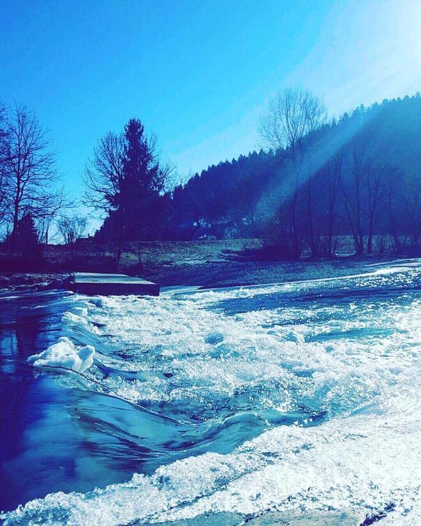 Tourist Farm Kolar Villa Ljubno Екстериор снимка